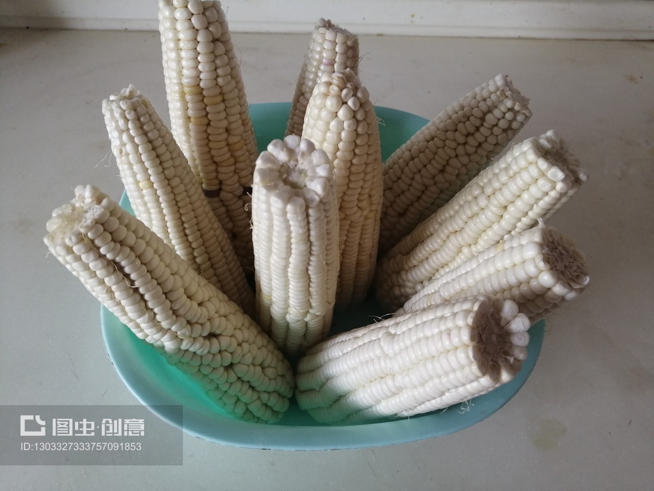 从田间到餐桌 金黄粘玉米的独特魅力