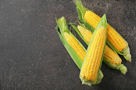 单根新鲜玉米棒 自然的馈赠与美味的智慧