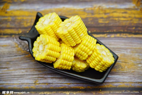 田野间的黄金珍珠 玉米摄影之美