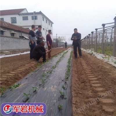 农机新势力 辣椒蔬菜移栽机与玉米苗移栽机，定制化生产引领农业现代化